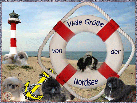 An den Beitrag angehängtes Bild: http://www.vom-drachentor.de/Geschenkbilder/allge/Nordseegruesse.gif