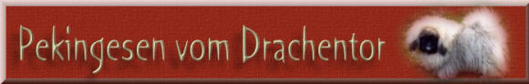 An den Beitrag angehängtes Bild: http://www.vom-drachentor.de/logos/Banner-Drachetor-002.jpg