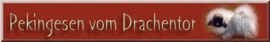 An den Beitrag angehängtes Bild: http://www.vom-drachentor.de/logos/Banner-Drachetor-004.jpg